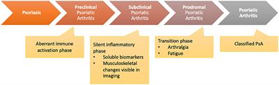 Innovative Imaging Technique for Visualization of Vascularization and Established Methods for Detection of Musculoskeletal Inflammation in Psoriasis Patients